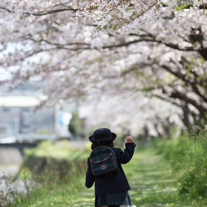 🌸おめでとうフォトキャンペーン🌸ロケ行ってきました。