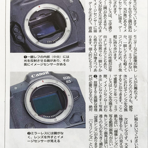 西日本新聞社さんにて「竹さんのわくわく写真塾」連載2回目！