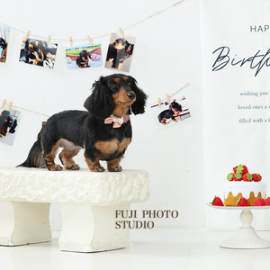🐾ペットのバースデーフォト🎂ご案内🐾