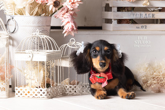 🐾ペットフォトキャンペーン２０２５🐾開催します♡